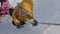 Young children play and have fun on the ice in the winter park. Children pull a rope on the playground of the ice park