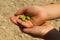 Young childâ€™s hand with olives