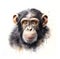 Young chimp portrait, front view. Stylised digital watercolour isolated on white background