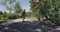 Young Chinese woman skateboarding down the road