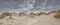 Young coastal Dune landscape