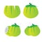 Young coconut set vector design