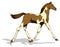 young colt horse animal vector illustration transparent background