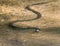 A young common grass snake Natrix natrix swims in the cool water of a forest stream on a hot summer day.