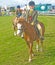 Young competitors at Black Isle Show.