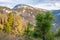 Young conifer spruce with shoots on a background of blurry mountains