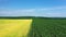 Young corn and wheat fields aerial view