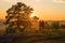 A young couple admires the sunset on top Mount