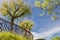 Young couple admiring beauty of seascape on atlantic coast in springtime with blooming trees in blue sky in basque country