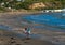 Young couple with a baby in a pram and a dog walk along the deserted Titahi Bay in New Zealand