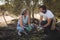 Young couple collecting olives at farm