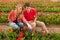 Young couple in Dutch flower fields