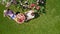 Young couple enjoying food and drinks in beautiful roses garden on romantic date, aerial top view from above
