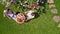 Young couple enjoying food and drinks in beautiful roses garden on romantic date, aerial top view from above of man and woman