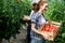 Young couple farming vegetables