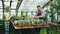 Young couple florists work in garden center. Attractive man cheking flowers and woman using tablet computer during