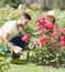 Young couple gardening together