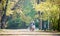 Young couple, handsome man and attractive woman on tandem bike in sunny summer park or forest.