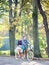 Young couple, handsome man and attractive woman on tandem bike in sunny summer park or forest.