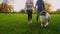 Young couple holding hands, walking with a dog in the park