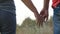 Young couple joining hands outdoor. Man and woman taking arms on nature background. Male and female hands comforting and