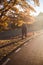 Young couple kissing along asphalt road in colorful autumn beech and oaks forest. Autumn road in mountains. Love and nature