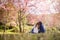 Young couple looking cherry blossoms tree