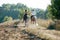 Young couple in love riding a horse