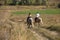 Young couple in love riding a horse