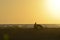 Young couple man and woman silhouettes putting up tent on tropical beach