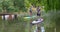 Young couple paddle boarding on the river Ouse at Bedford.