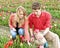 Young couple picking tulips