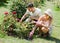 Young couple planting flowers in the garden