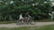 A young couple rides a tandem two-seater bike along the riverbank