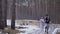 Young couple runs on slippery road in the forest