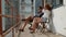 Young couple sitting in the balcony