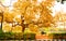 Young couple sitting in a park bench. Two people falling in love in natural parkland. Maple leaf gardens Toronto. Romantic