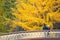 Young couple standing on a bridge with yellow leaves in the background