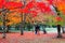 A young couple with a stroller enjoying the scenery of fiery maple foliage & fallen leaves on the meadows in the garden