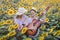 Young couple in sunflower field