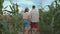 Young couple in T-shirts and shorts hold hands and goes along the path in the corn field. Back view