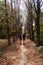 Young couple on urban woodland walkway, Bucharest, Romania