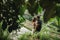 Young couple with view of Ubud in morning. Happy together, honeymoon in Bali.