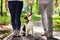 Young couple walking with Beagle dog in the summer park