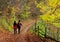 Young couple walking on a forest path in autumn.