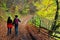 Young couple walking on a forest path in autumn.