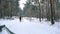 Young couple walking in winter forest holding hands and embracing in slow motion