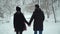 Young couple walking in winter park covered with snow holding hands. Winter outdoor leisure of happy loving couple. Back