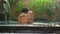 Young couple woman and man have fun in their private swimming pool. Honeymoon concept