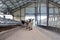 young cows enter a modern dairy farm for the first time